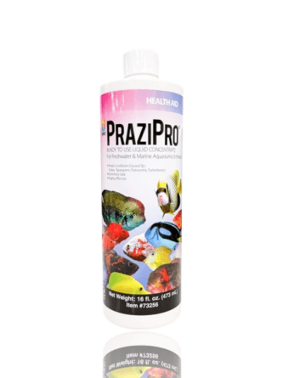 PraziPro 16oz